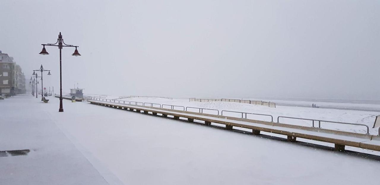 Duinenhuis Zeepolder 28 데한 외부 사진